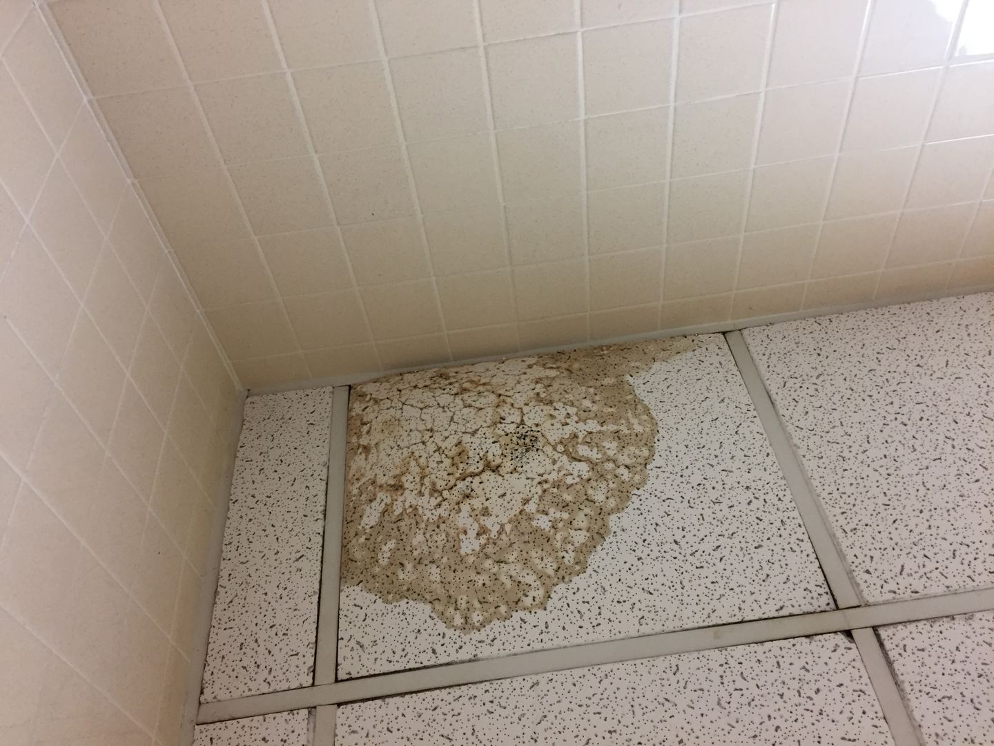 Water-damaged ceiling panel